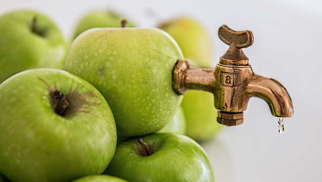 Практическое задание по теме Производство сока яблочного натурального с мякотью